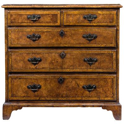 18th Century Burr Ash Chest of Drawers