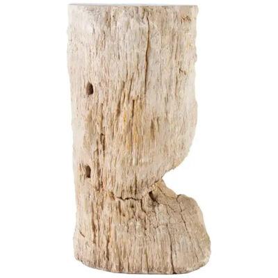 Petrified Wood Stump Pedestal