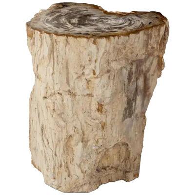 Organic Form Petrified Stump End Table