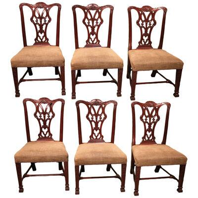 A set of six 19th century Chippendale style single mahogany chairs