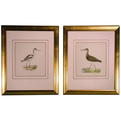 Pair of late 19th Century Bird Prints after W von Wright