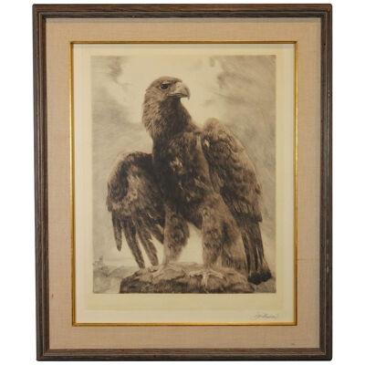 Mid 20th Century Natrualistic Eagle Etching