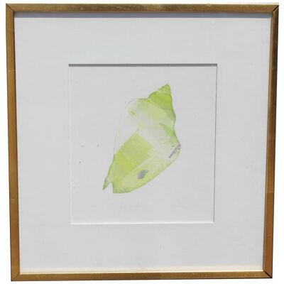 Green Painted Sea Shell Lithograph Edition 33 of 34