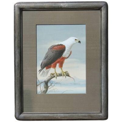 Rena Fennessy Photorealist Eagle Watercolor Painting 1970s