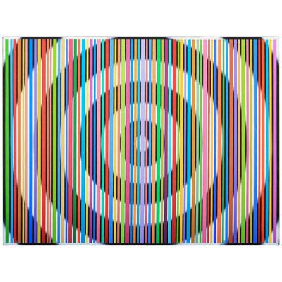 2016 "69 Colors From Green to Purple on Target" Op Art Oil Painting