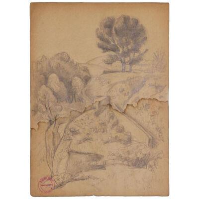 19th Century Naturalistic French Landscape Study with Trees Graphite on Paper