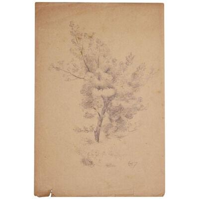 Emile Lejeune Naturalistic Pencil Drawing "Study of a Tree" 19th Century