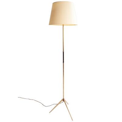 A French Mid Century Floor Lamp