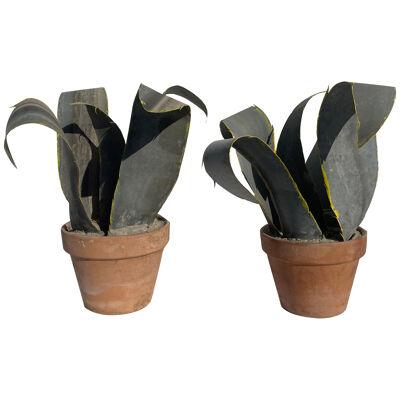 A Pair of French Zinc Cacti