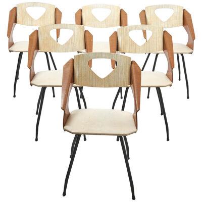 Set of 6 Plywood Dining Chairs by Carlo Ratti, Italy - 1950's