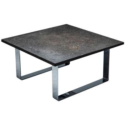 Fossil Coffee Table with Slate Top, Studio Draenert, Germany, 1970s