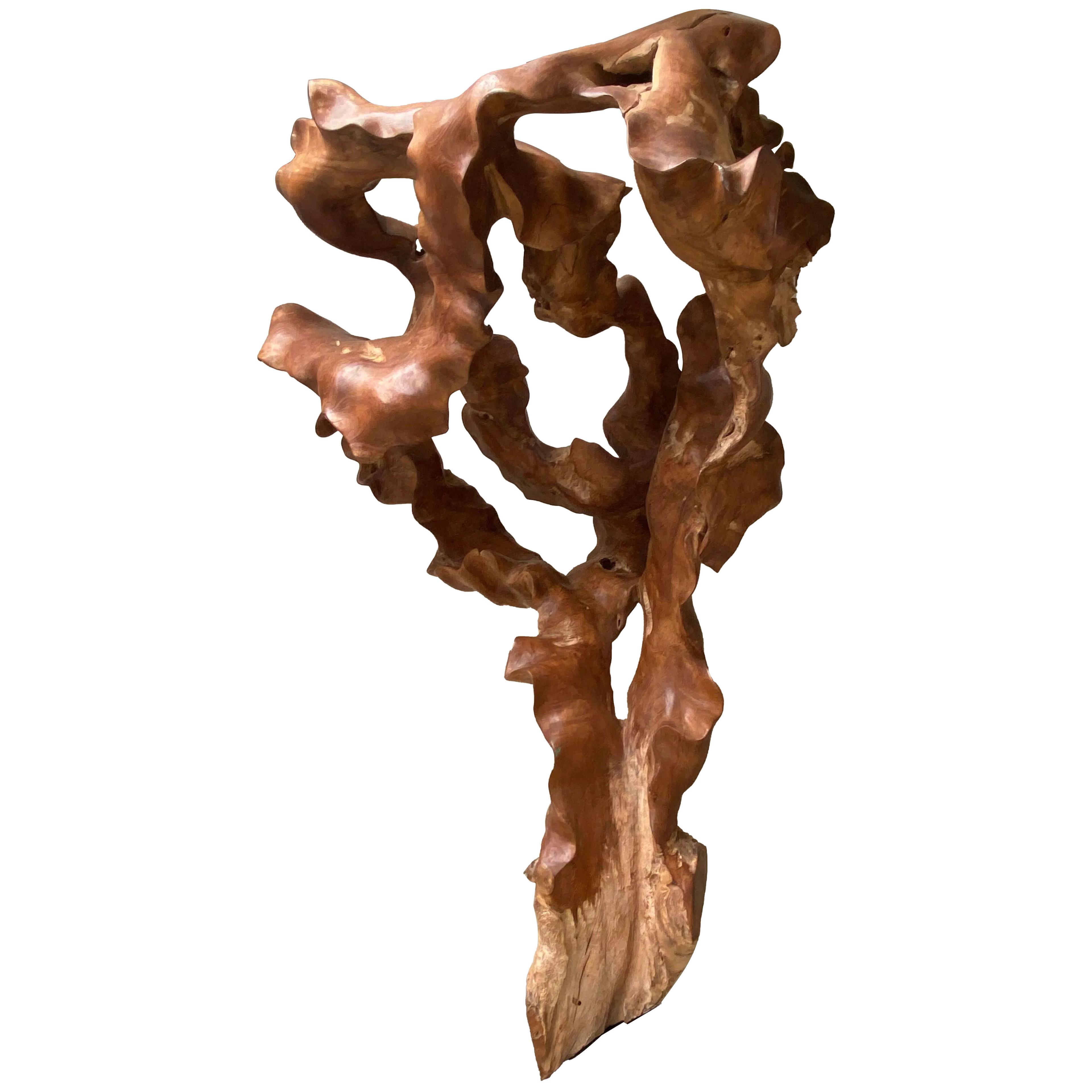 Abstract Sculpture, Teak Root, Wood