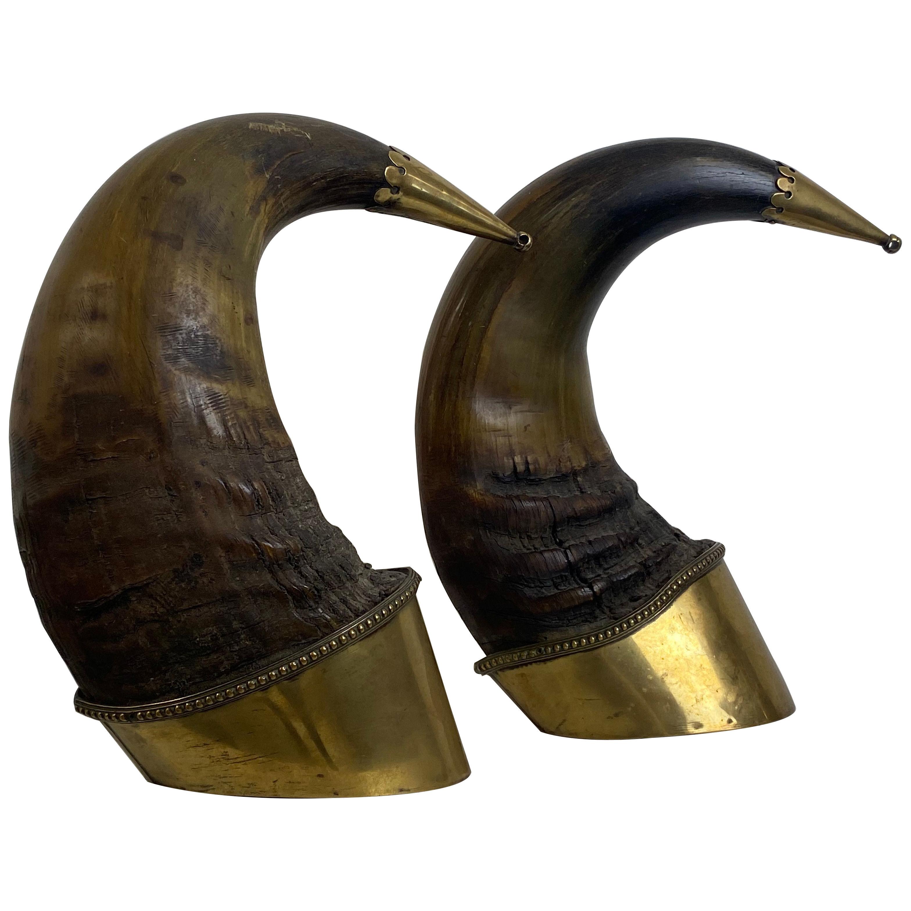 Pair Of Buffalo Horns