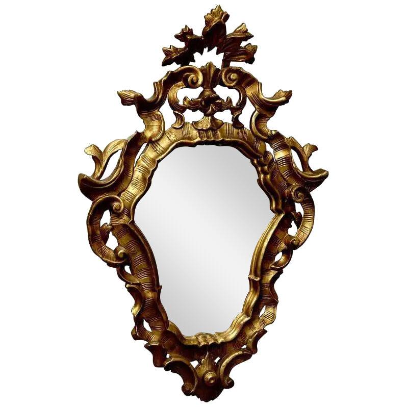 19th Century Mirror in Carved Wood
