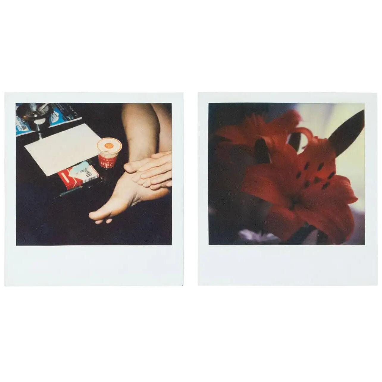 Miquel Arnal Set of Polaroid Photographs