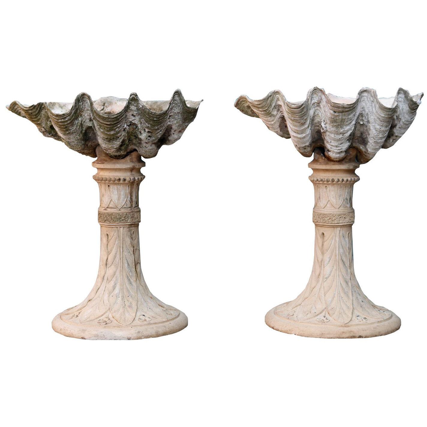 Pair of Victorian Clam Shell Planters or Fountains