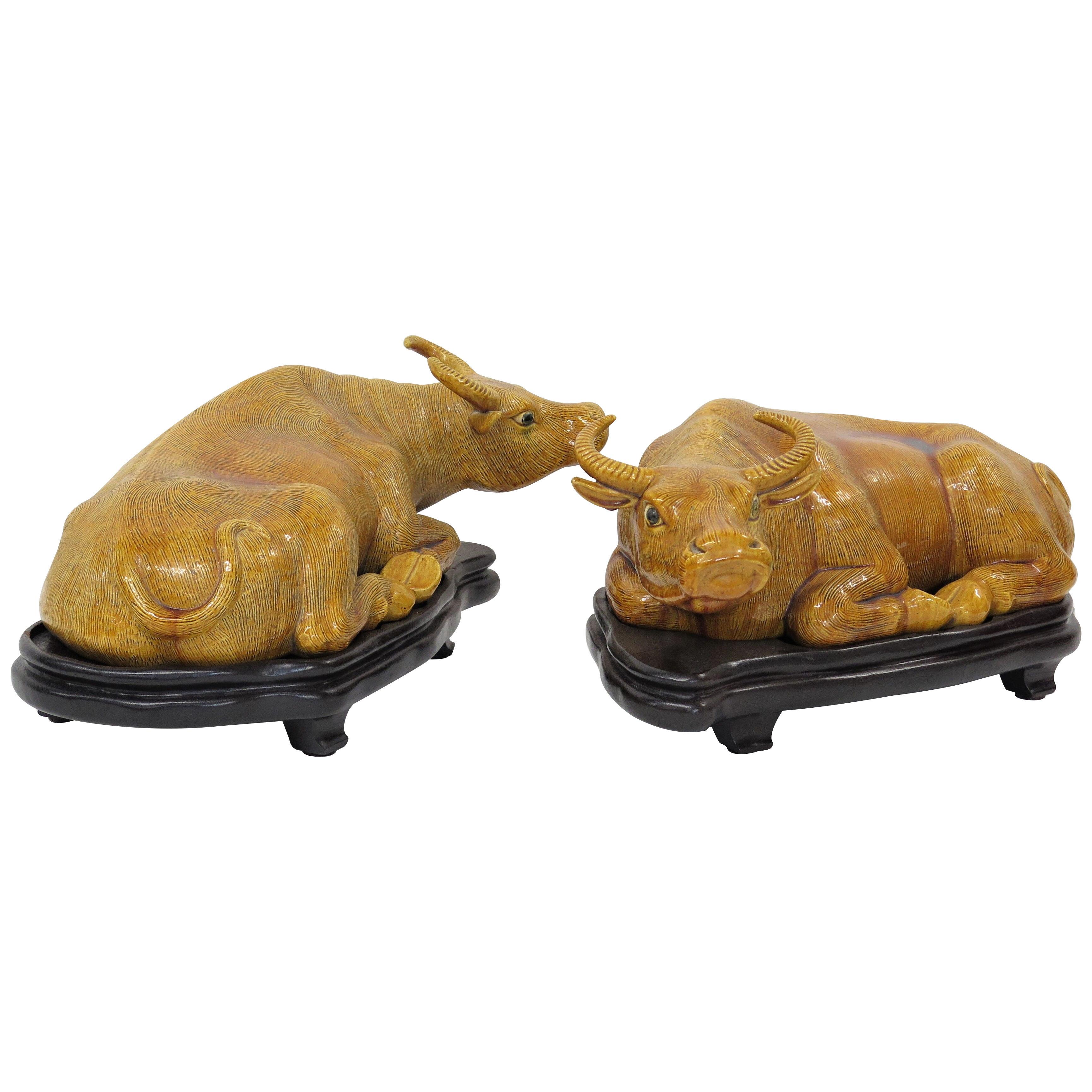 Chinese Ochre Glazed Recumbent Oxen on Carved Wooden Stands