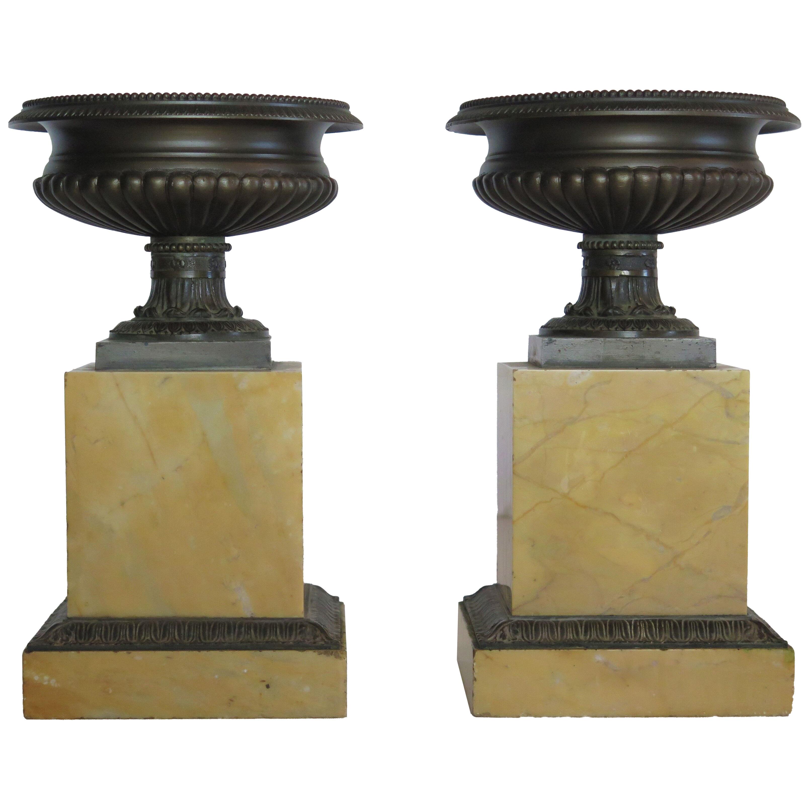 A Pair of Grand Tour Bronze Tazzas on Sienna Marble Plinths