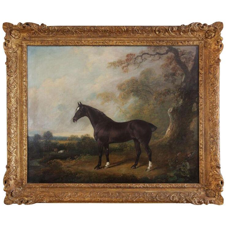 Oil Painting of a Horse Standing Proud in Woodland, signed by the Royal Artist
