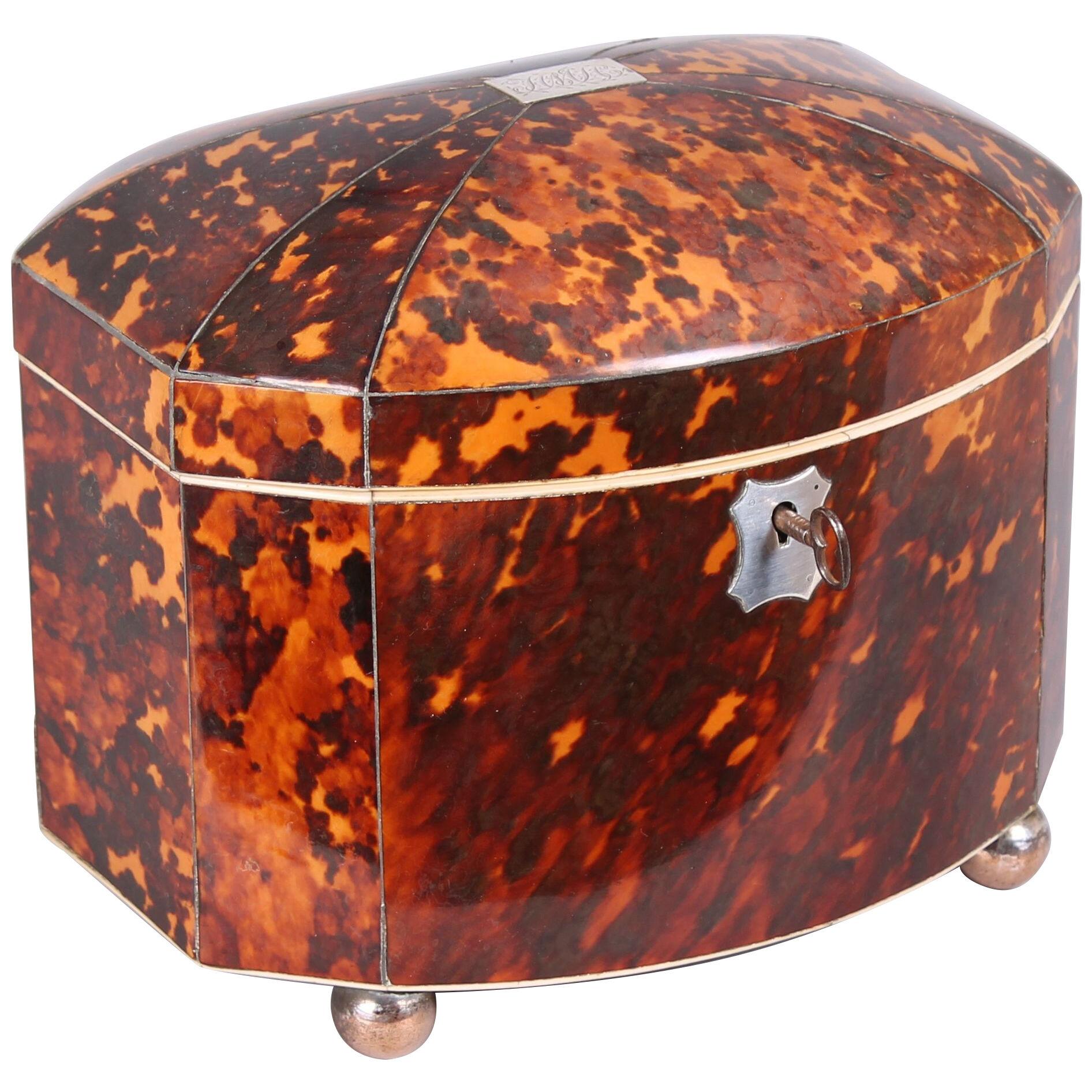Fine Regency period tortoise-shell bow-fronted double tea-caddy