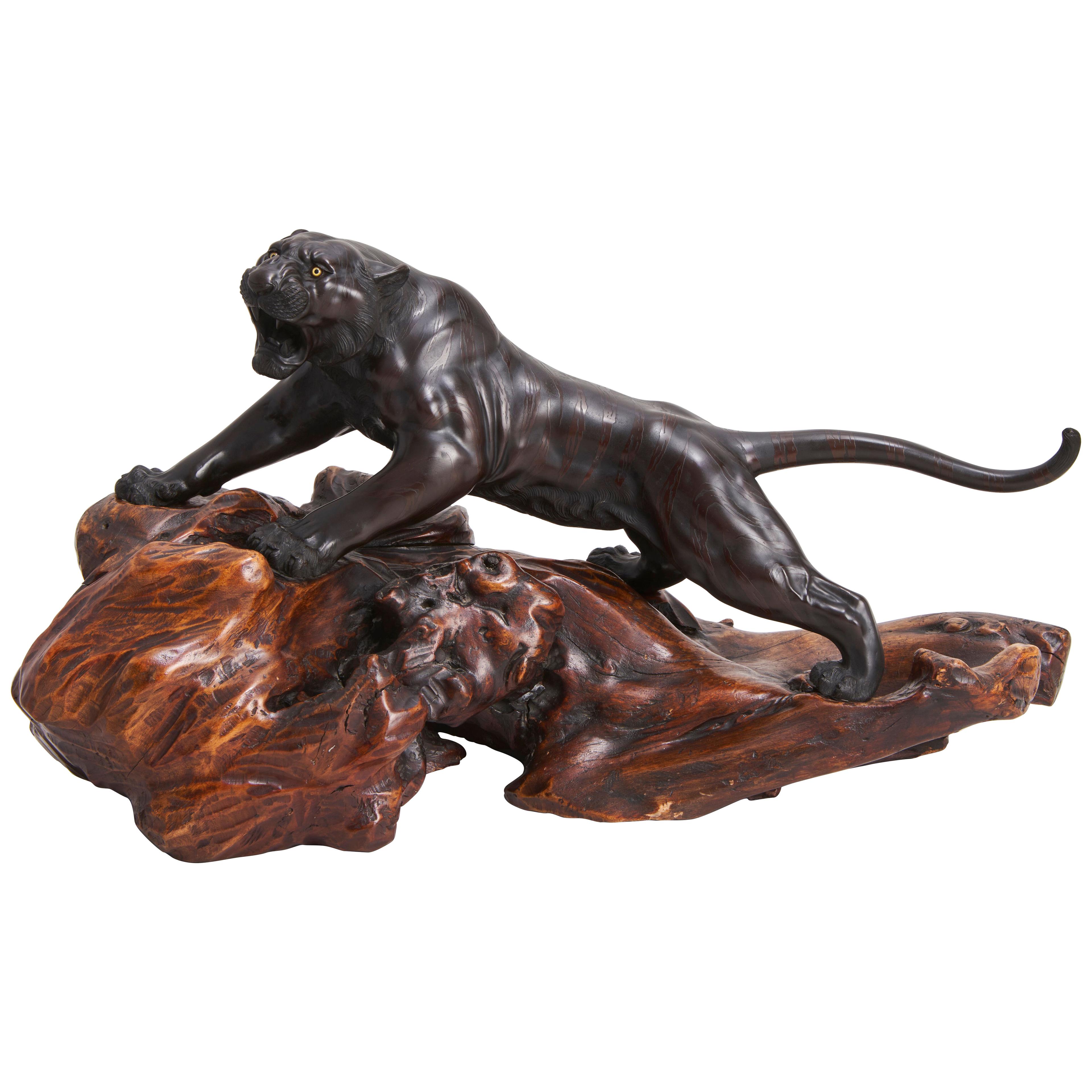 A dramatic large Bronze Okimono of a prowling Tiger on a hard wood base