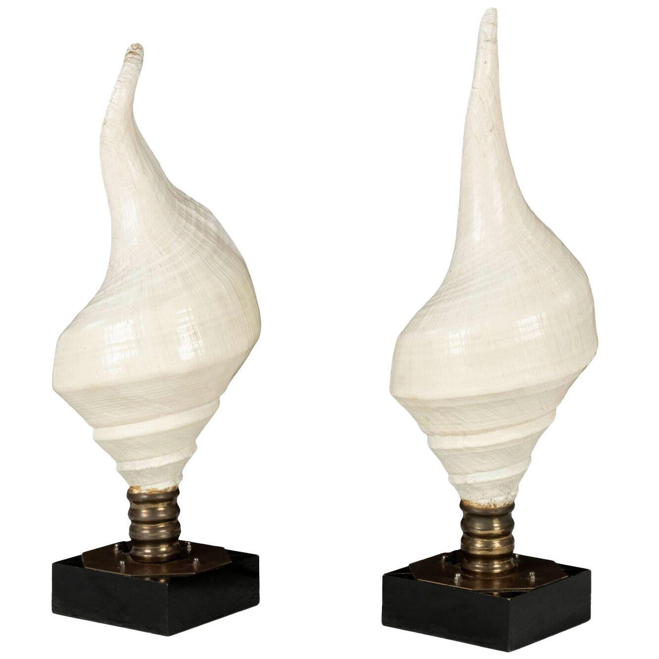 Large Vintage Conch Shell Lamps