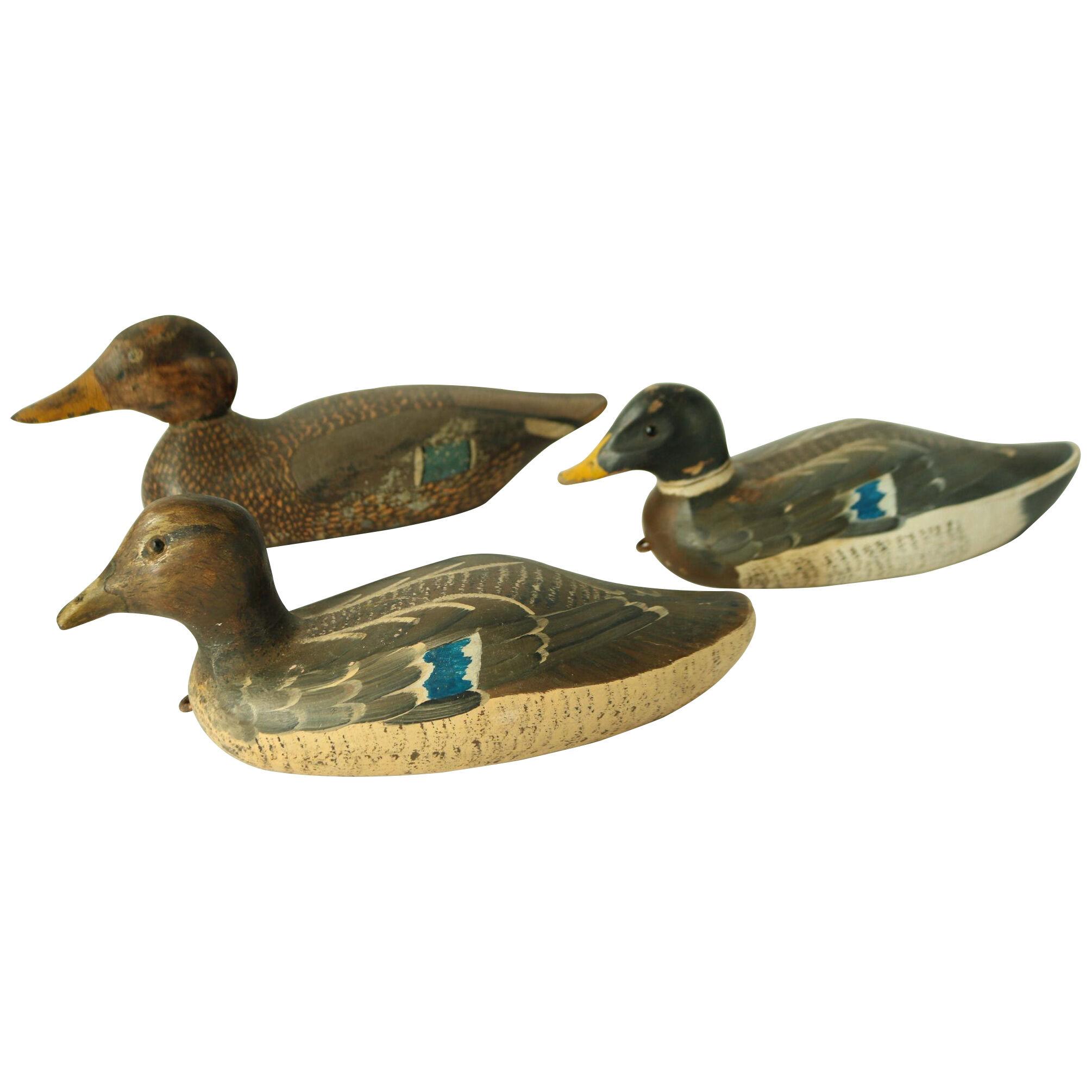 Three 19Th Century Folk Art Decoy Ducks.