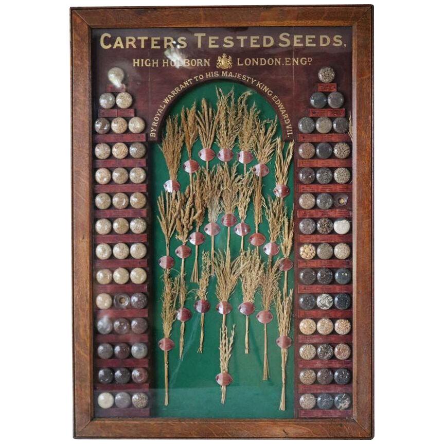 A Rare Edwardian Carters Tested Seed Shop Display Advertising.