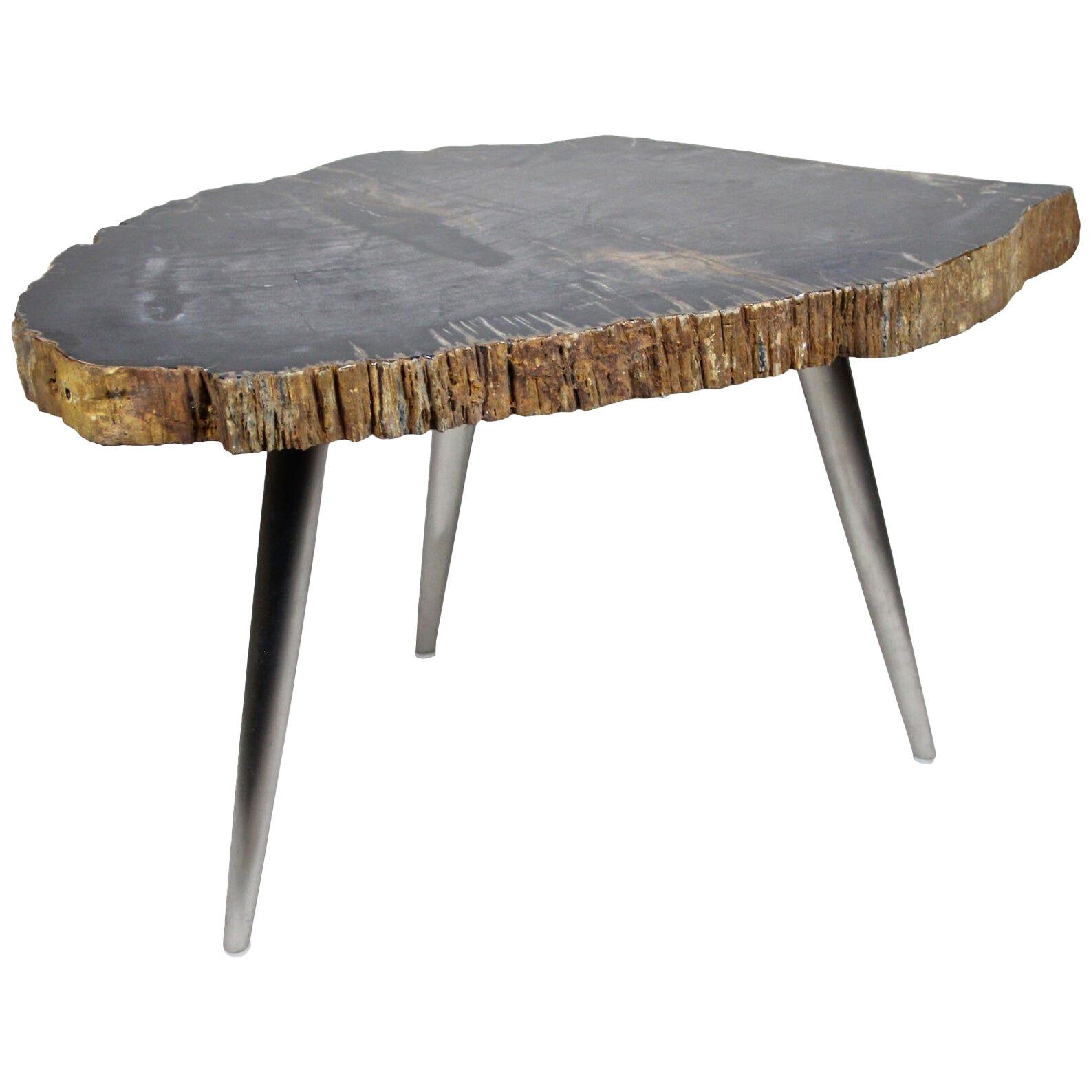 Petrified Wood Coffee Table or Side Table with Stainless Steel Feet	