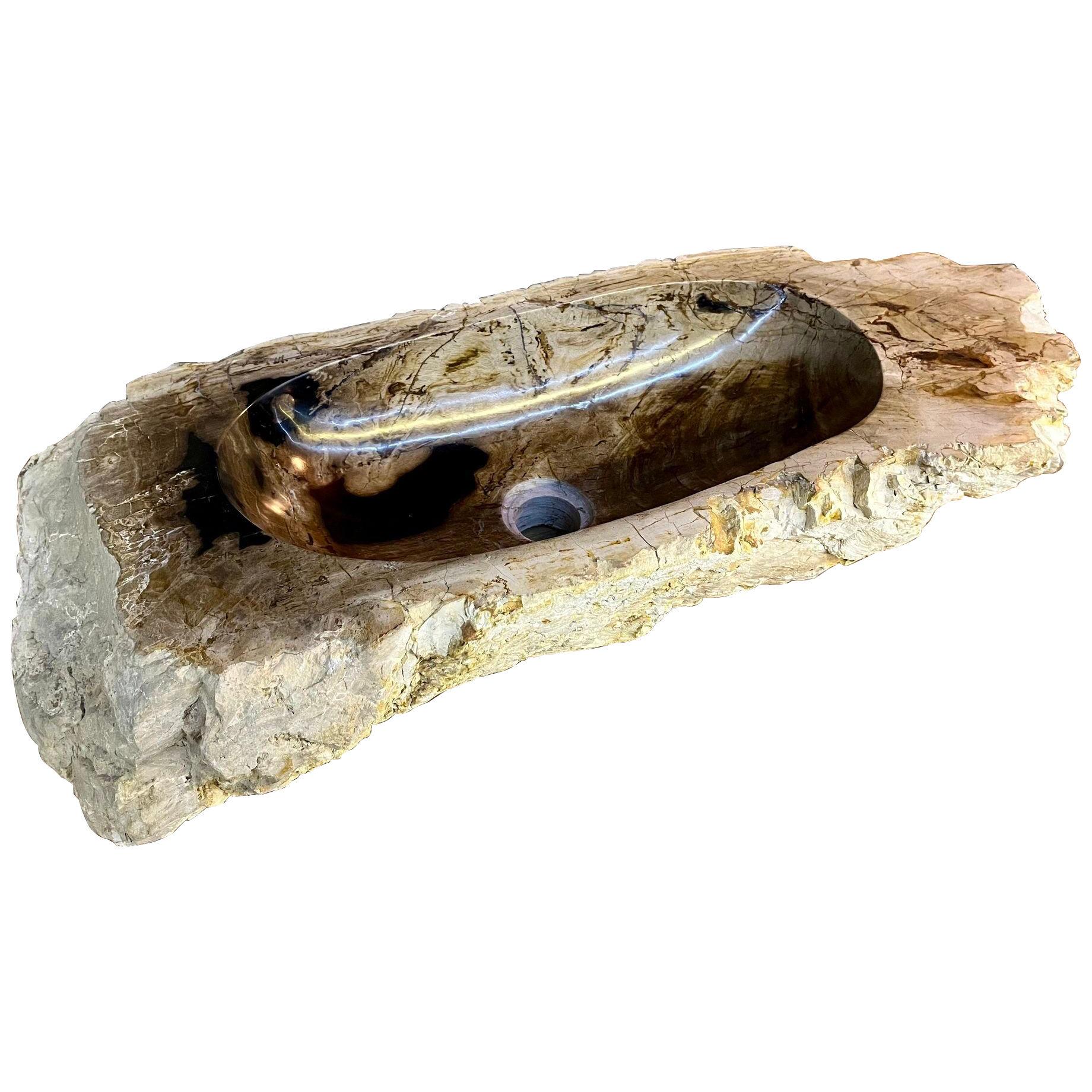 Petrified Wood Sink Grey, Brown and Beige Tones, Polished - Top Quality