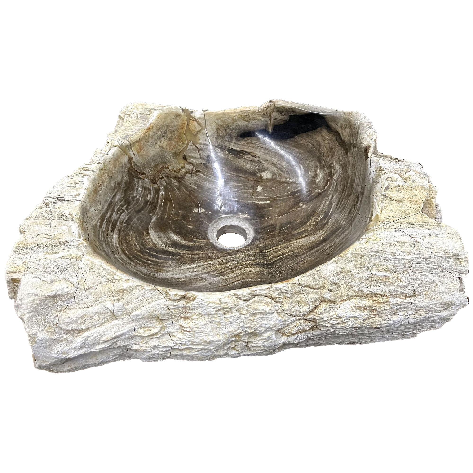 Petrified Wood Sink in Brown/ Grey/ Beige Tones, Polished, Top Quality