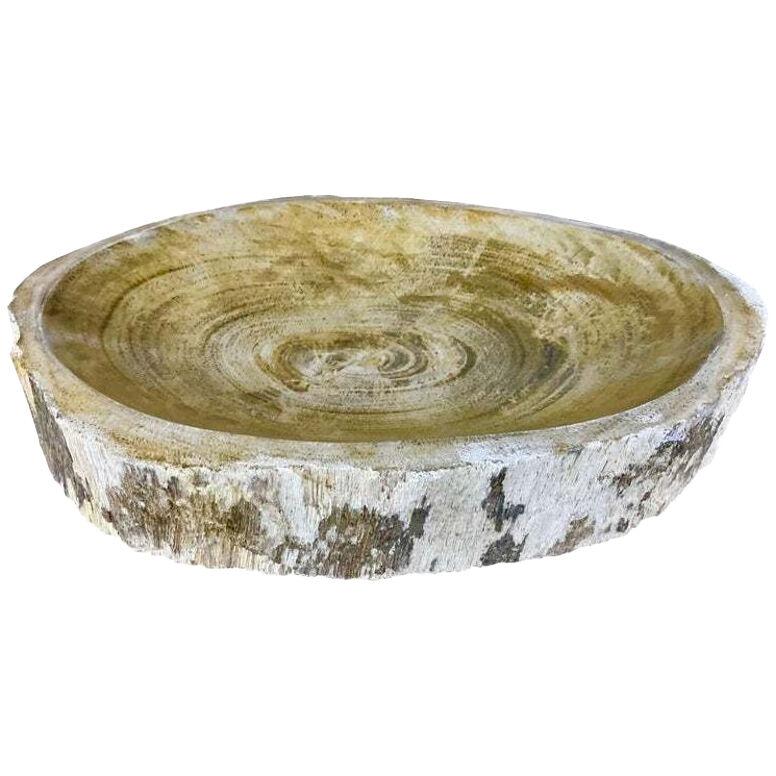 Petrified Wood Bowl in Beige/ Brown/ Grey Tones, Top Quality