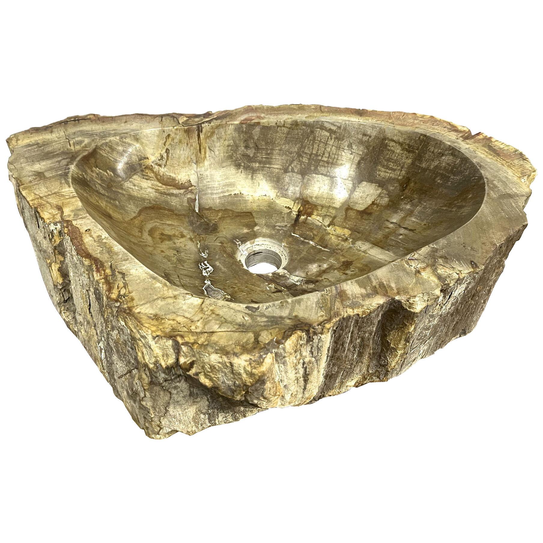 Petrified Wood Sink in Beige/ Yellow/ Brown Tones Polished, Top Quality