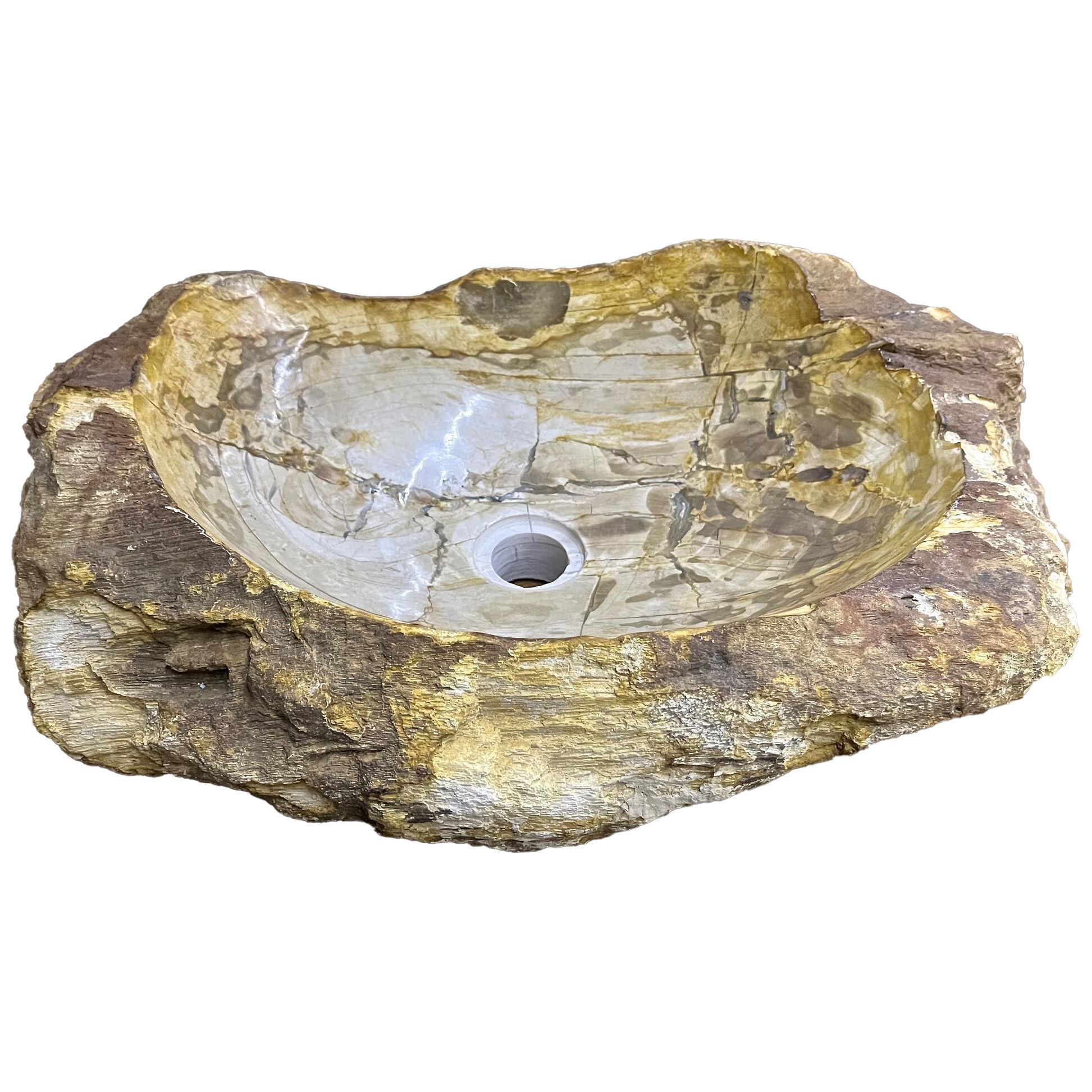 Petrified Wood Sink with Brown/ Beige/ Yellow Tones Polished, Top Quality