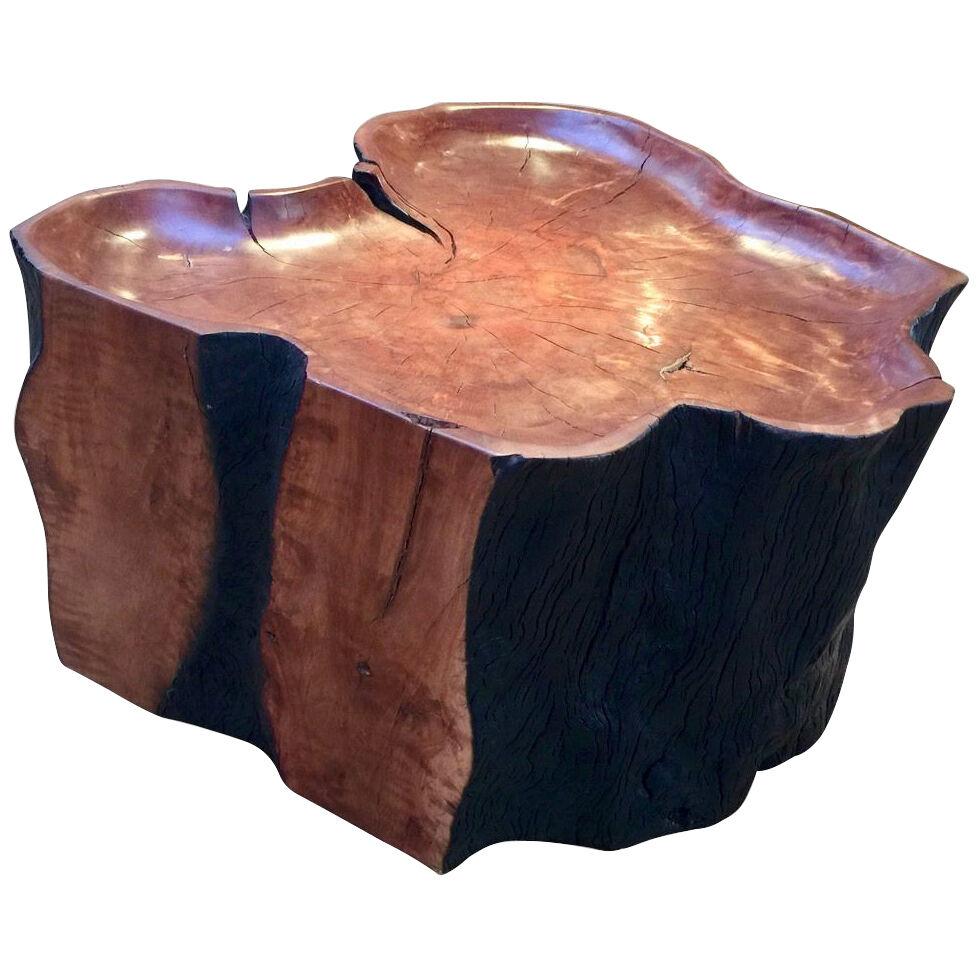 Litchi Tree Coffee Table by Jerome Abel Seguin, Contemporary
