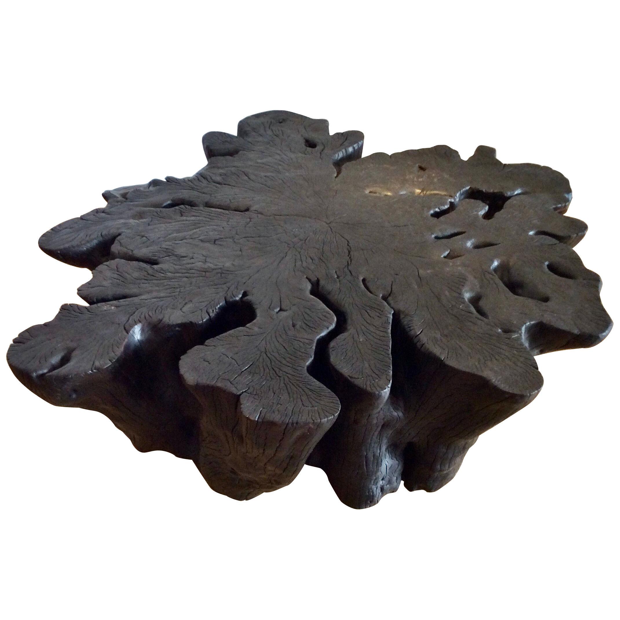 Blackened Litchi Root Coffee Table, by Jerome Abel Seguin