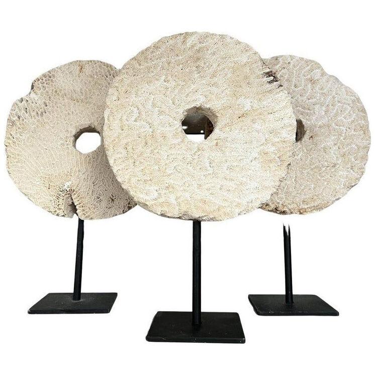 Set of 3 Fossilized Coral Stone Discs