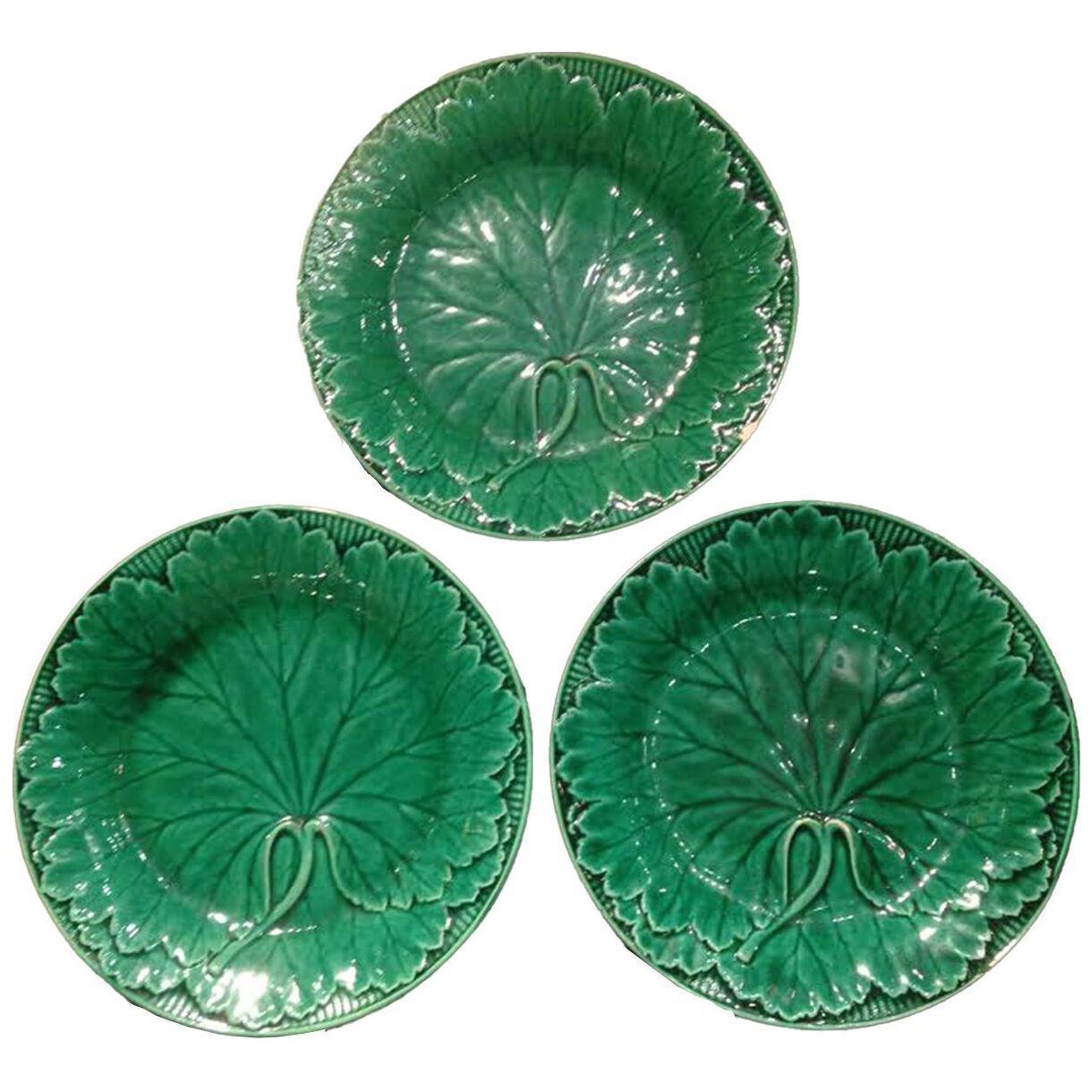 Collection of Twelve 19th Century Majolica Leaf Pattern Plates
