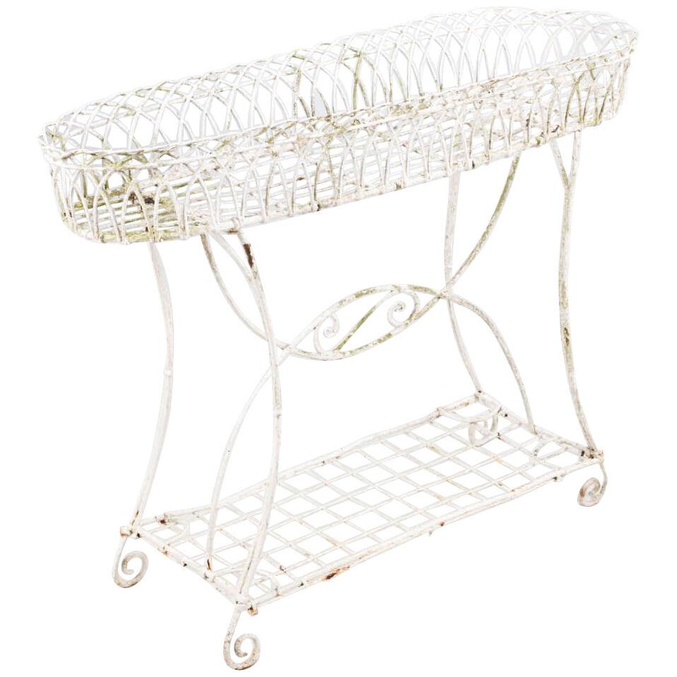 19th Century White Painted Metal Wirework Plant Stand