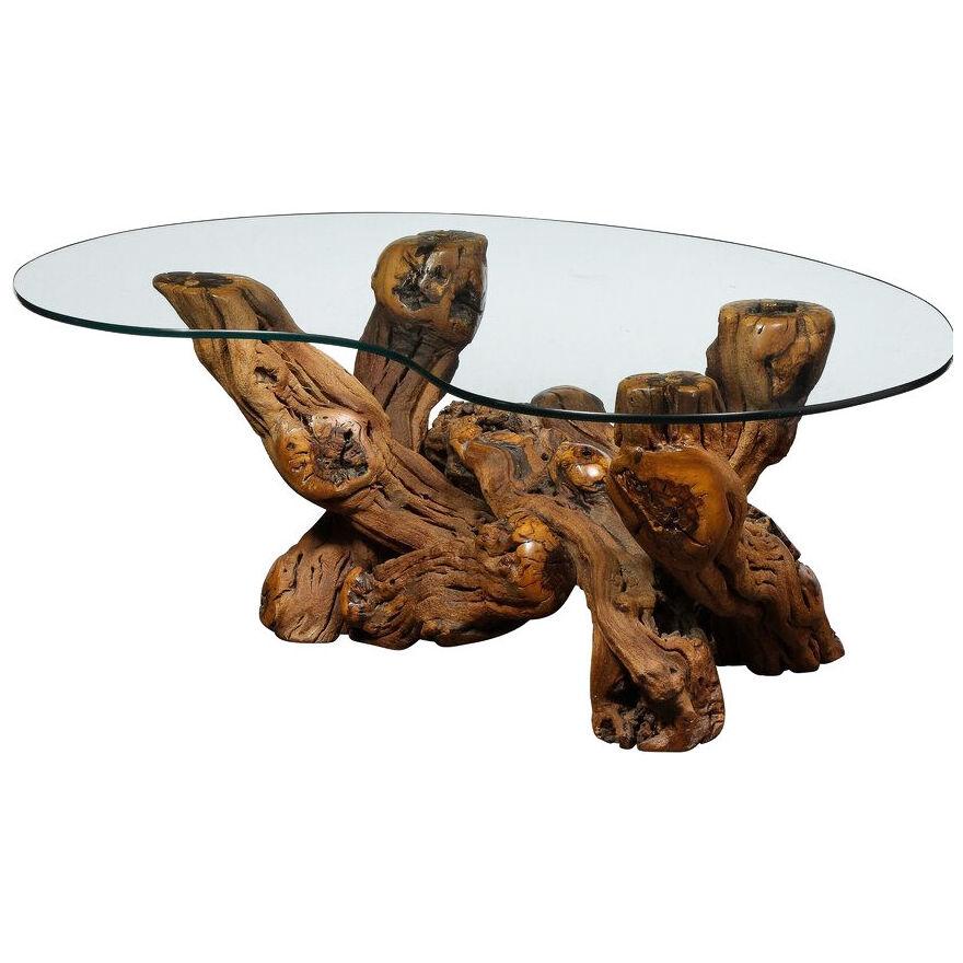 Mid-Century Modern Burled Driftwood Cocktail Table with Amorphic Glass Top