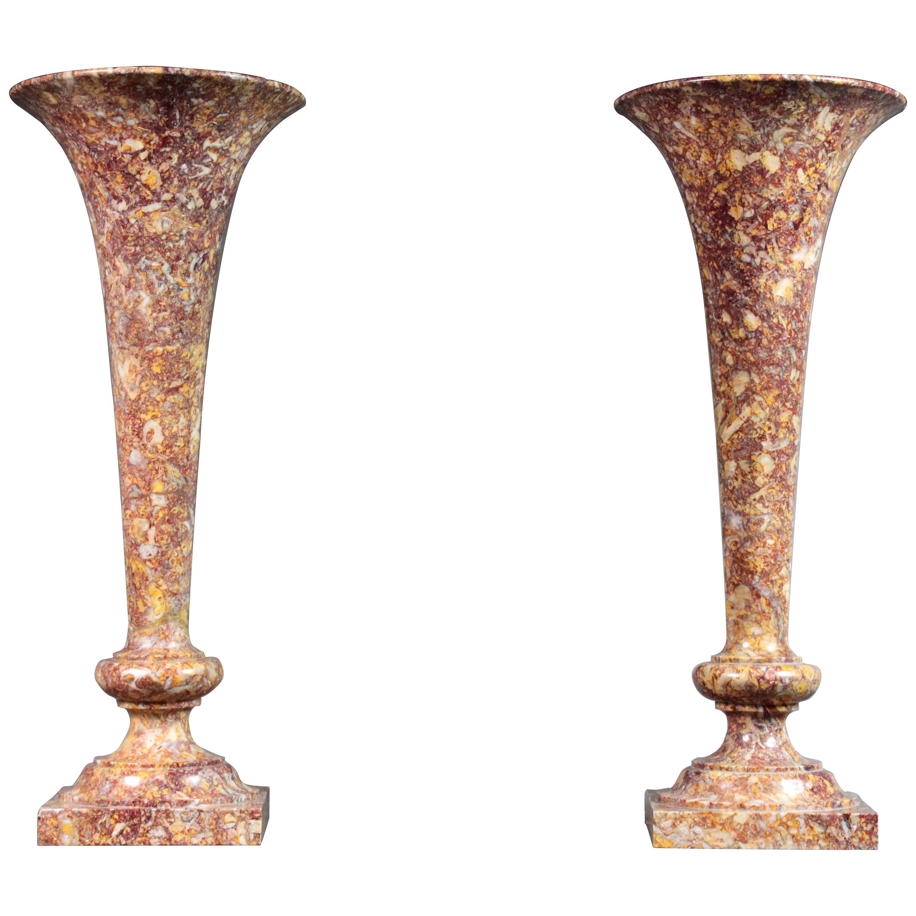 Pair of 19th Century Marble Vases