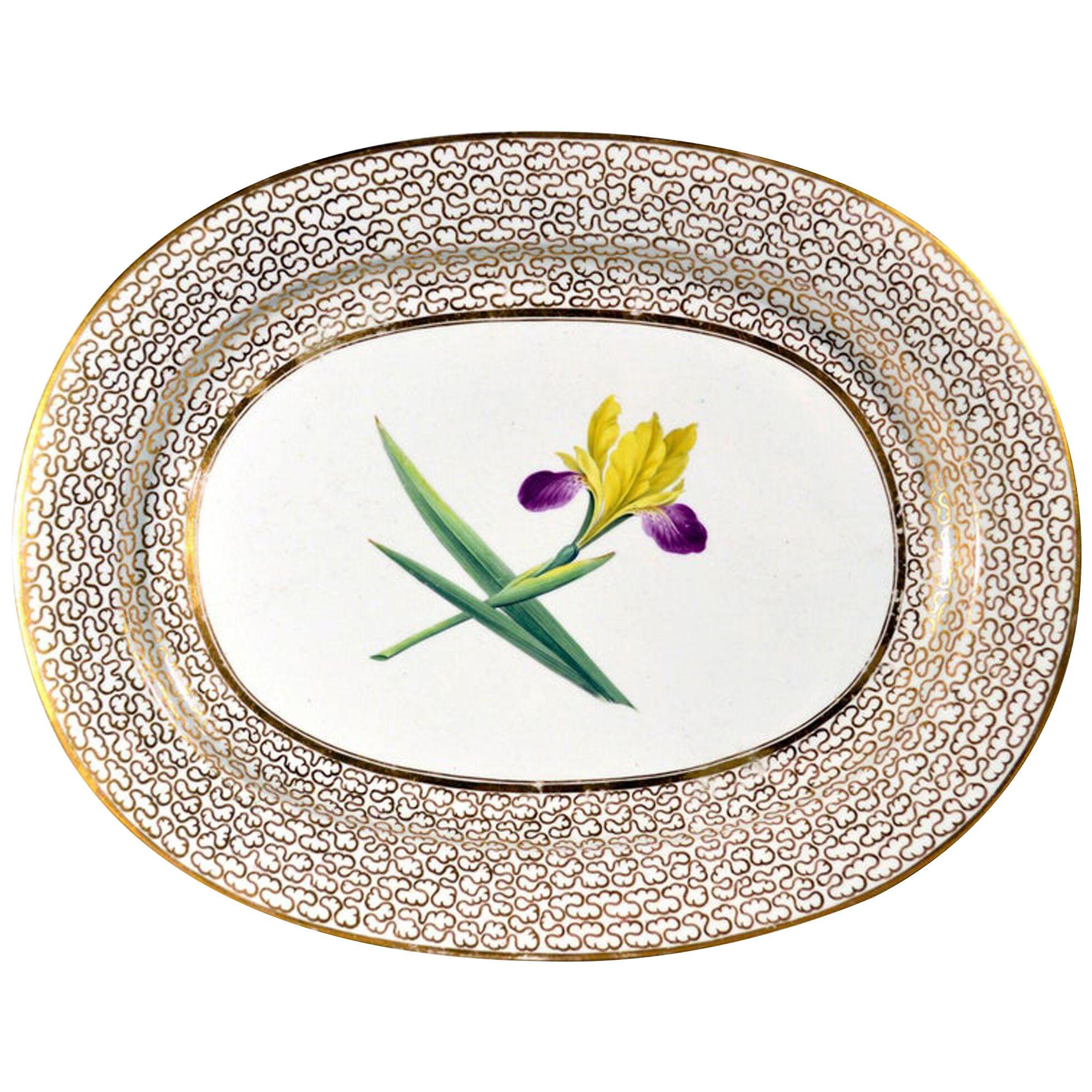 Regency English Chamberlain Worcester Porcelain Large Botanical Dish with Iris