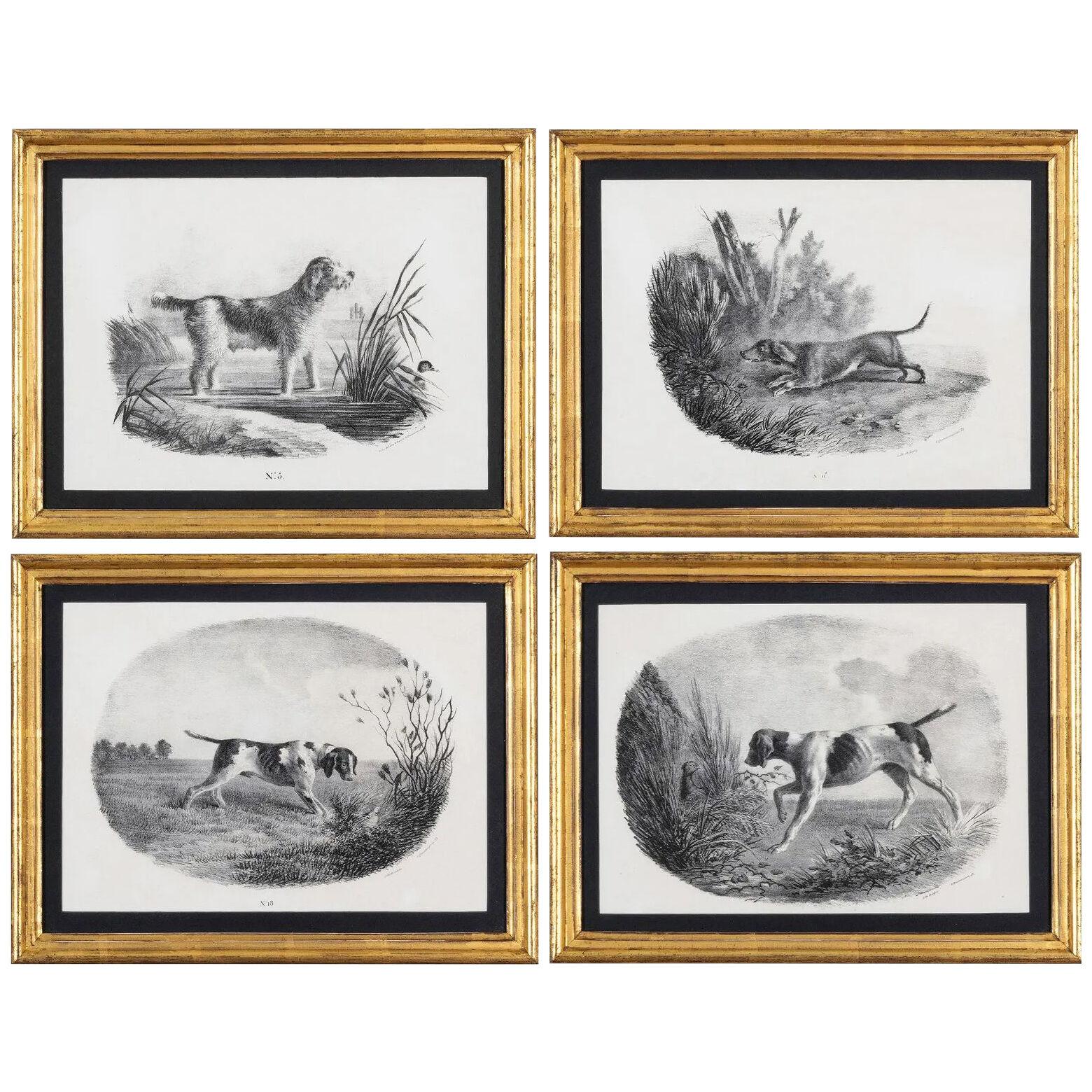 French Black & White Engravings of Hunting Dogs, Set of Four