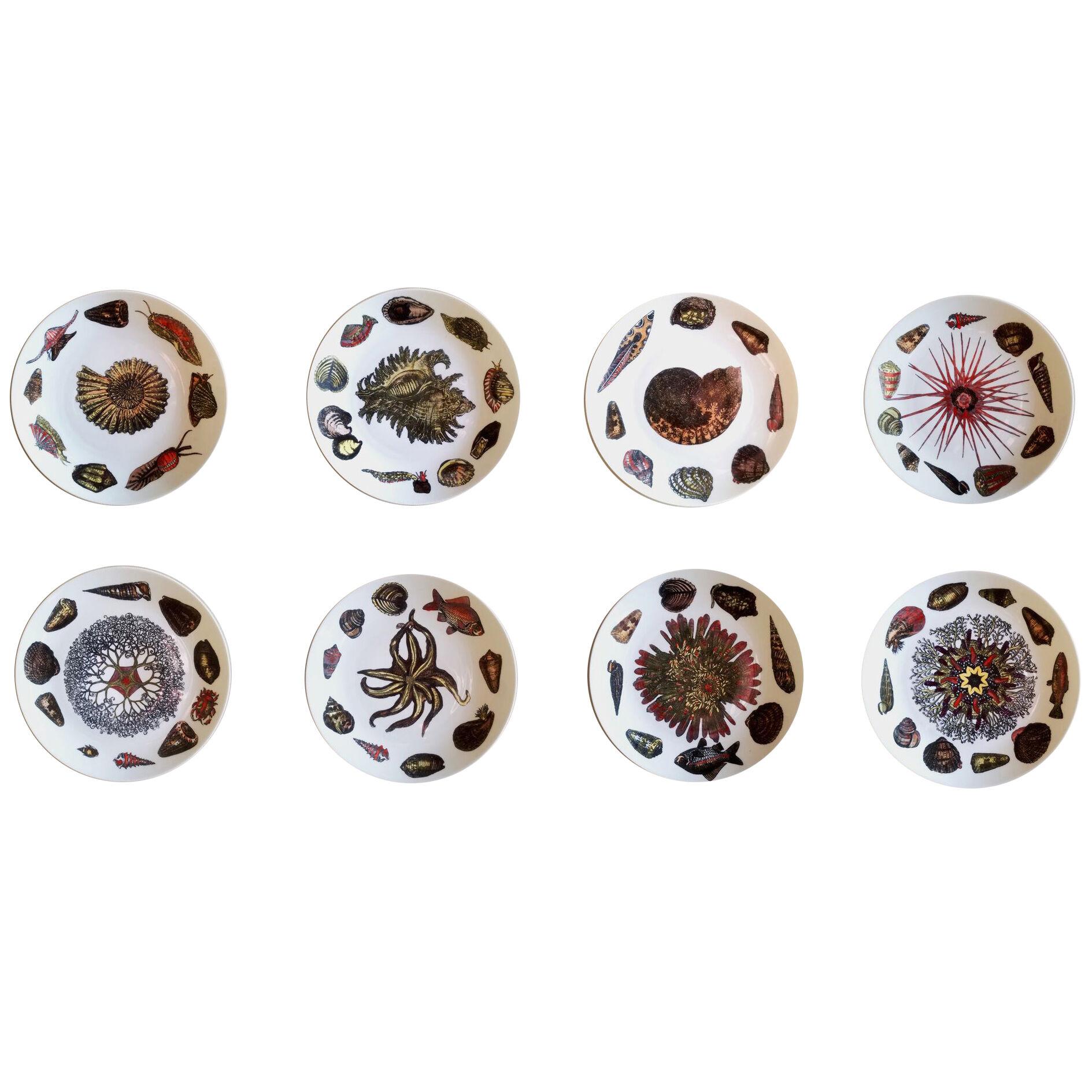 Piero Fornasetti Porcelain Plates With Sea Shells, Conchiglie Pattern