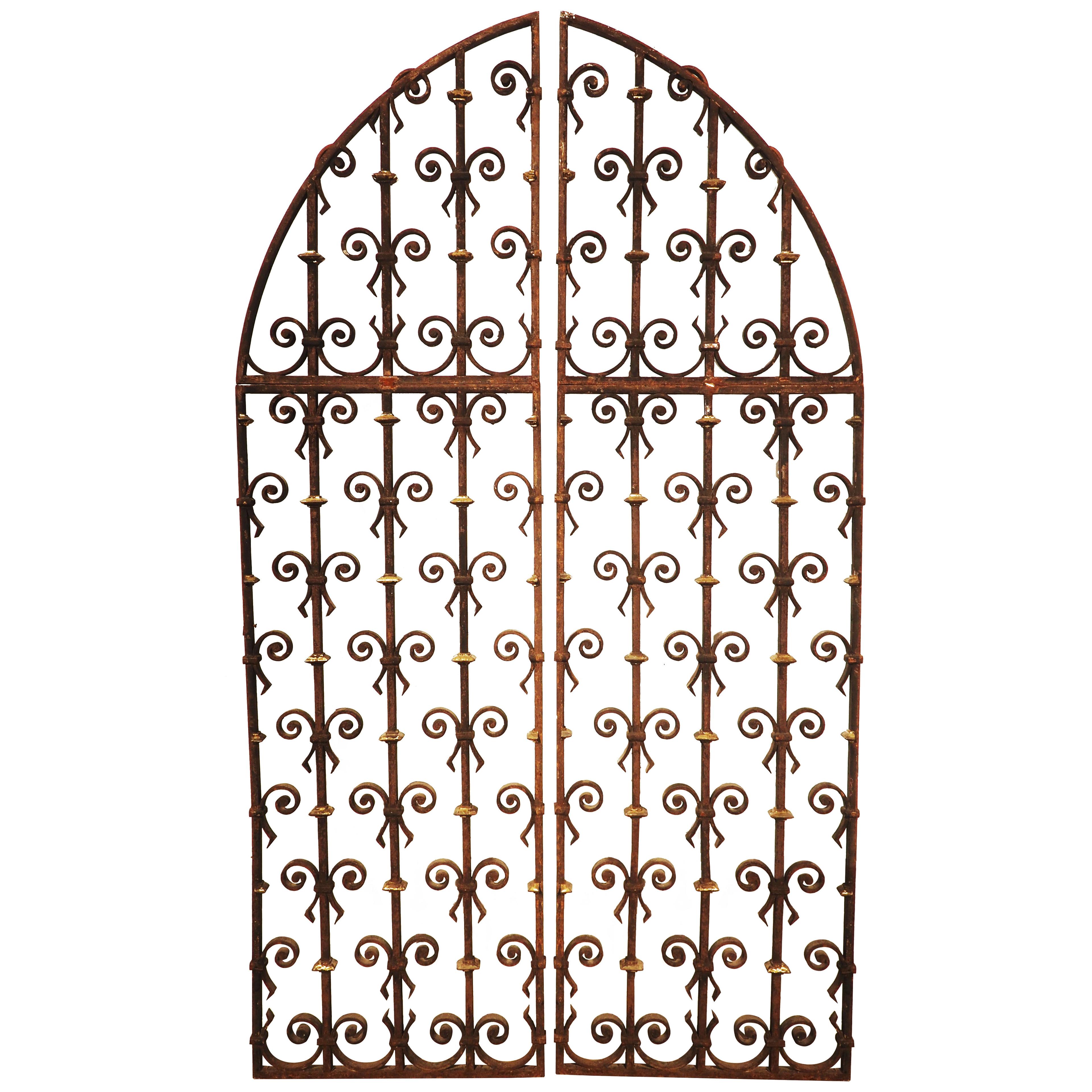 Pair of Arched 19th Century Wrought Iron Gates from France