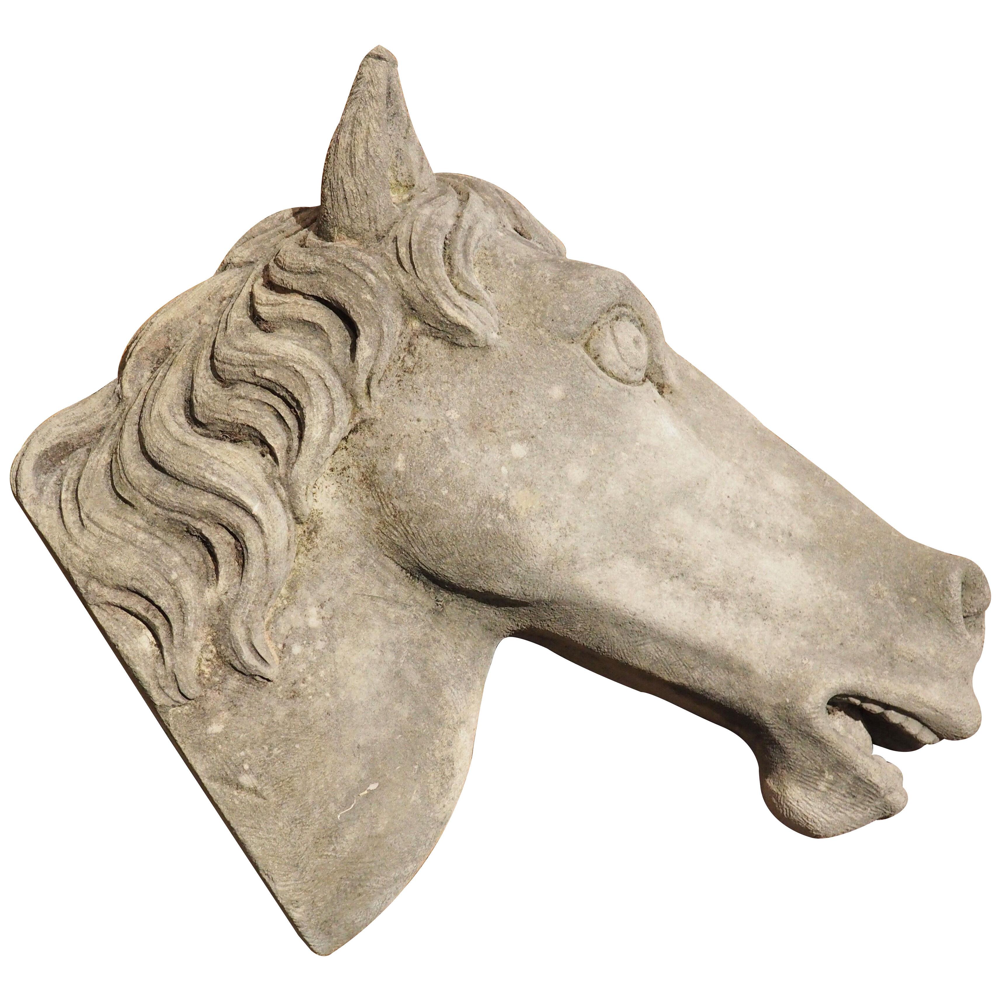 Carved Limestone Horsehead from Italy