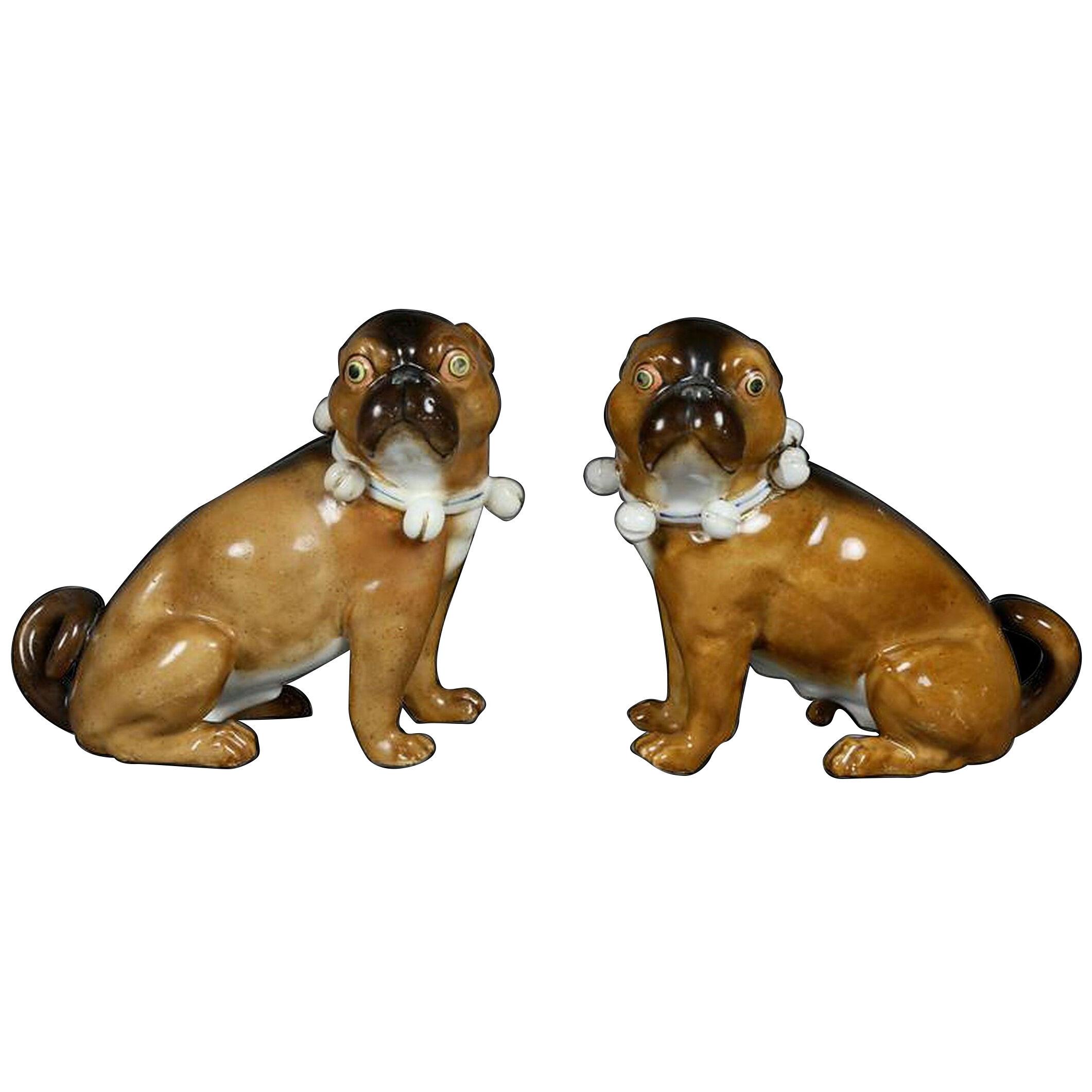 German Porcelain Figures of Seated Pugs - a Pair