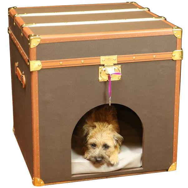 Brown canvas Doghouse trunk R2854 