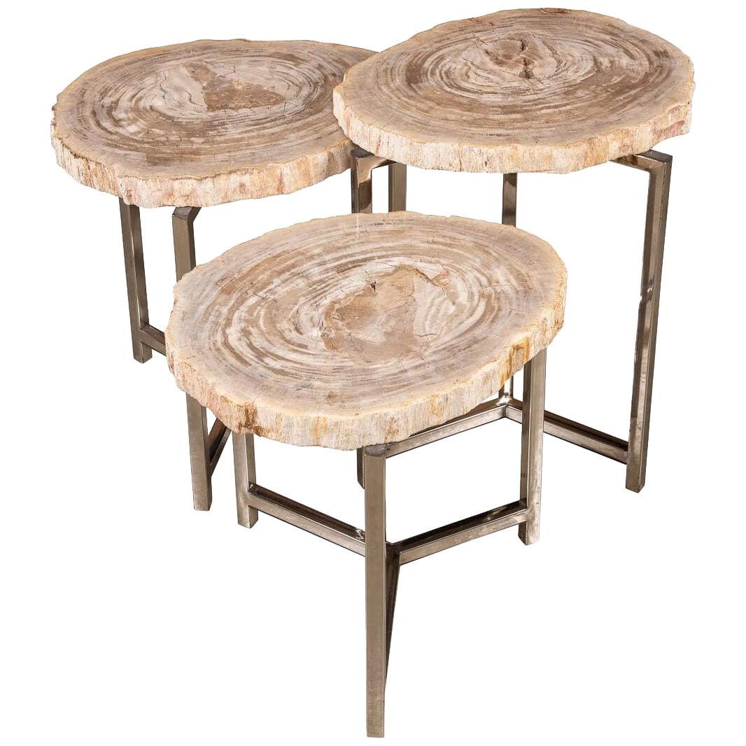 A Nest Of Three Petrified Wood (Fossil) Tables On Chrome Bases