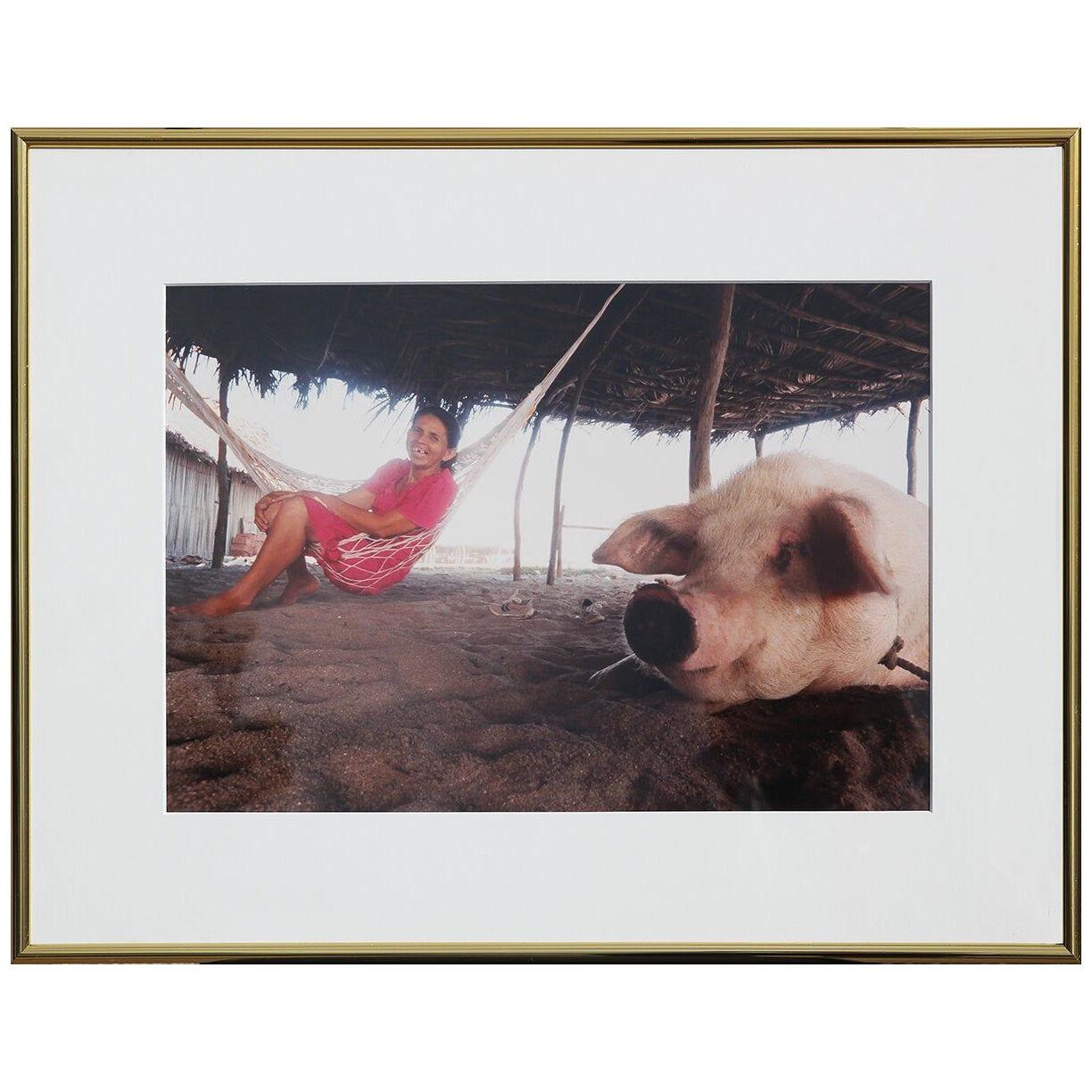 Daily Life Beach Color Photograph of a Smiling Woman in a Hammock with a Pig